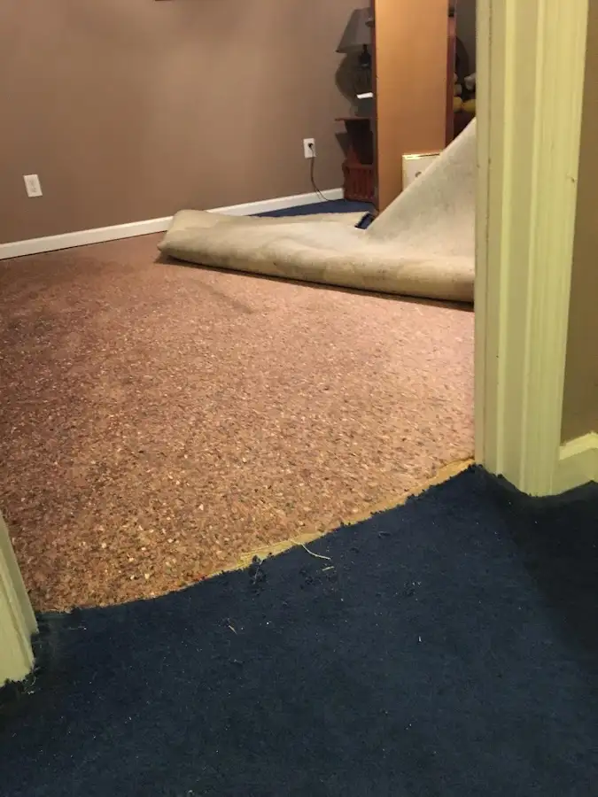 Carpet pad removal revealing water damage during Water Mitigation Services in Canton
