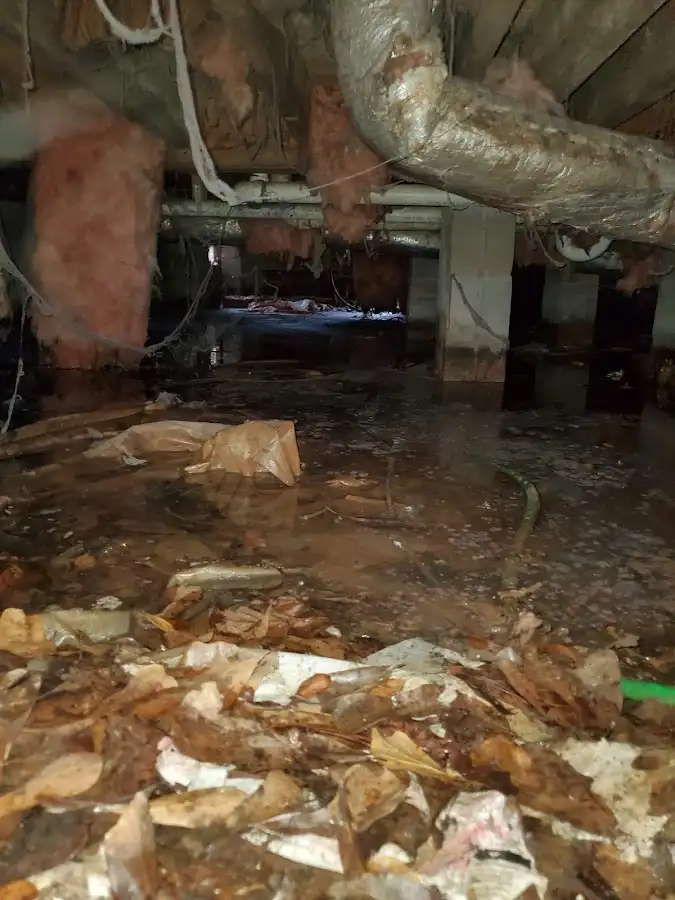 Crawl space flood assessment for Leak Detection & Repair in Canton